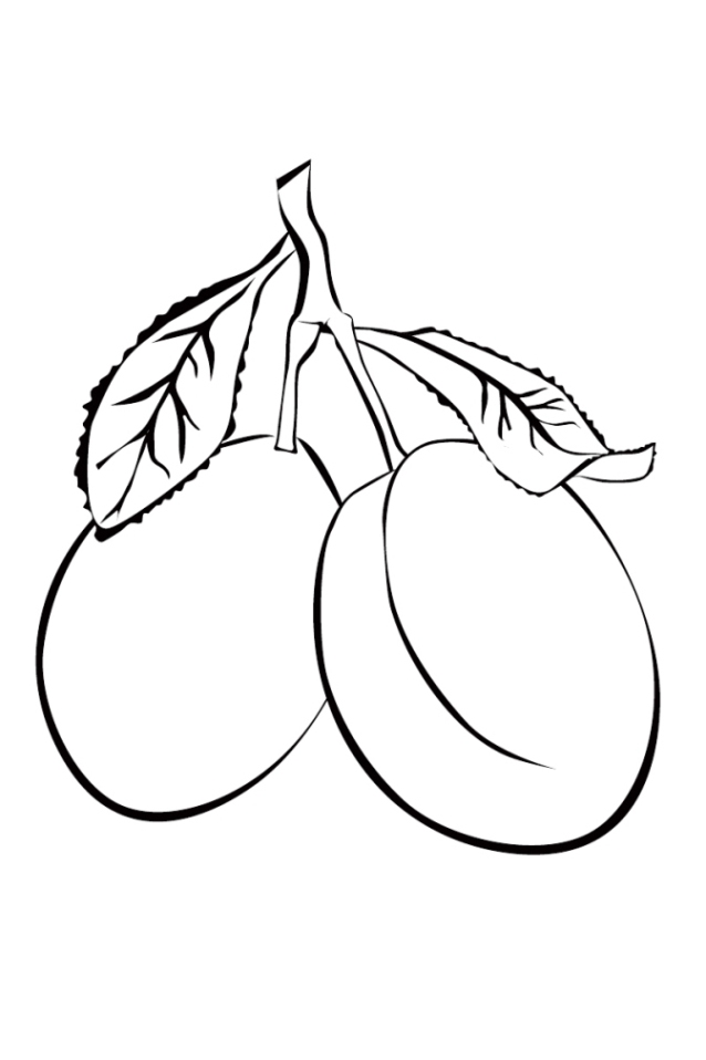 Malvorlagen zum Ausdrucken Ausmalbilder Früchte Obst und Beeren kostenlos 1