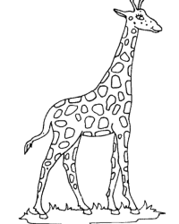 Ausmalbilder Giraffe kostenlos 1