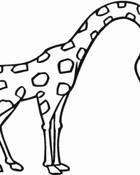 Ausmalbilder Giraffe kostenlos 3